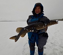 Трофейная щука в Карелии